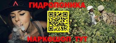 твердый Сланцы